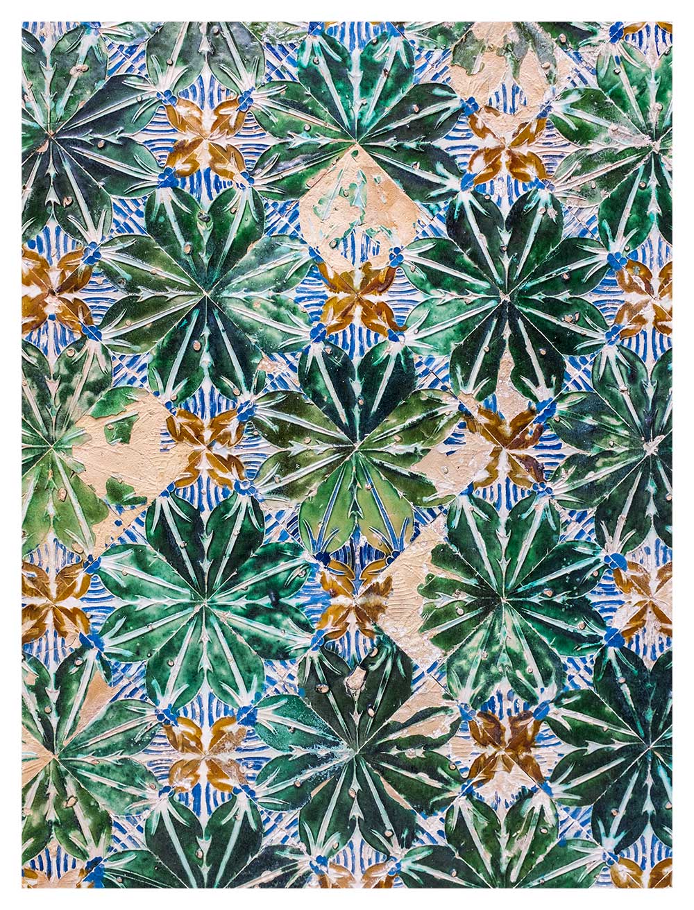 Fotografia "Azulejos Tropicais" - lisbongallery