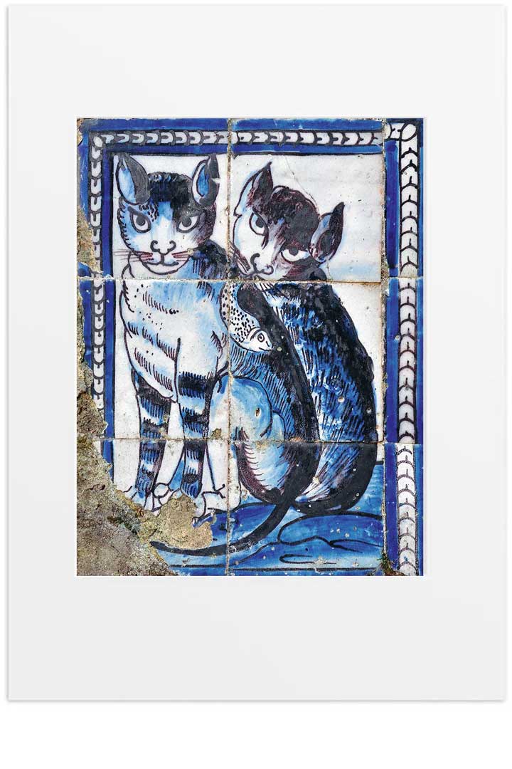 Fotografia "Azulejos com Gatos" - lisbongallery