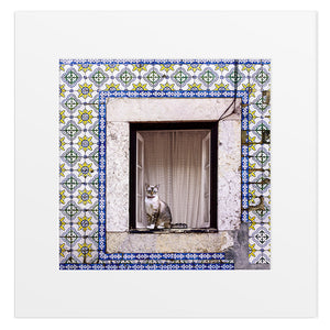 Fotografia "Azulejos, 2004" - lisbongallery