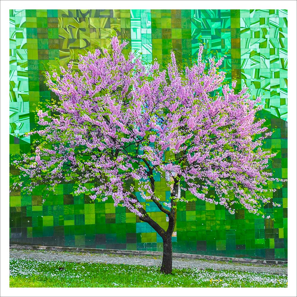 Fotografia "Azulejos, 2018" - lisbongallery