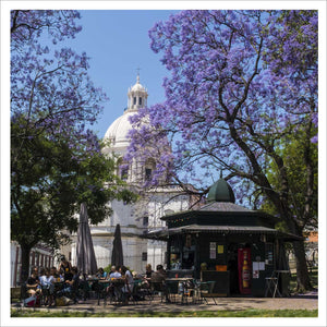 Fotografia "Primavera na Basílica da Estrela"